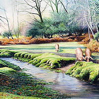 Karen Frampton, New Forest Artist, paintings, greeting cards, murals, slate, Hampshire, UK